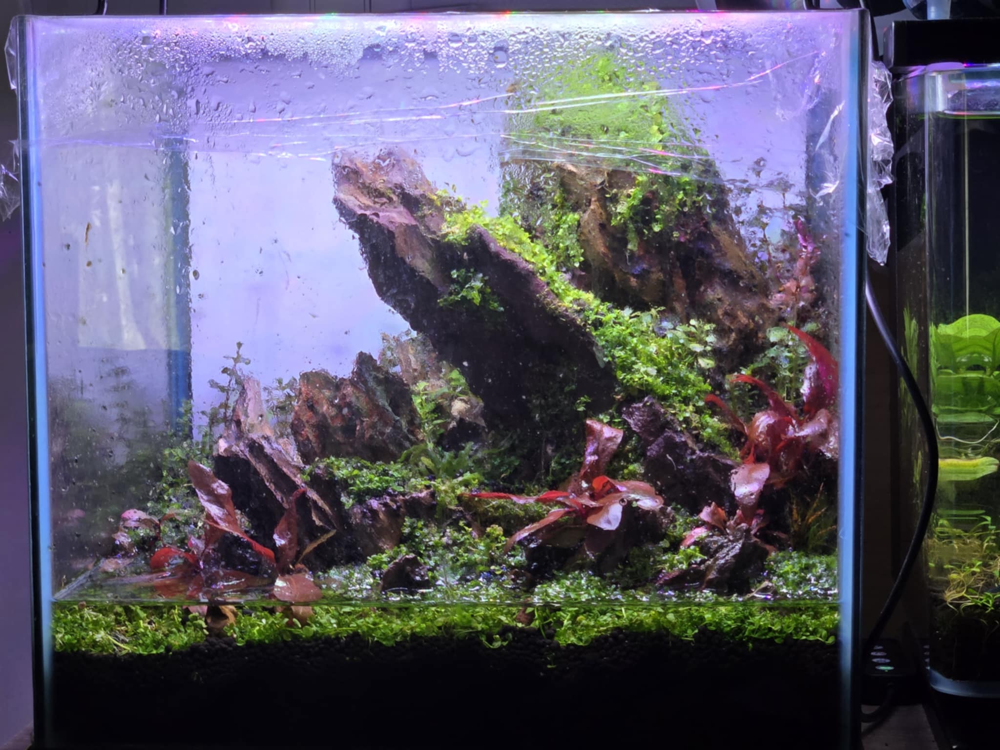 Crystal Waters