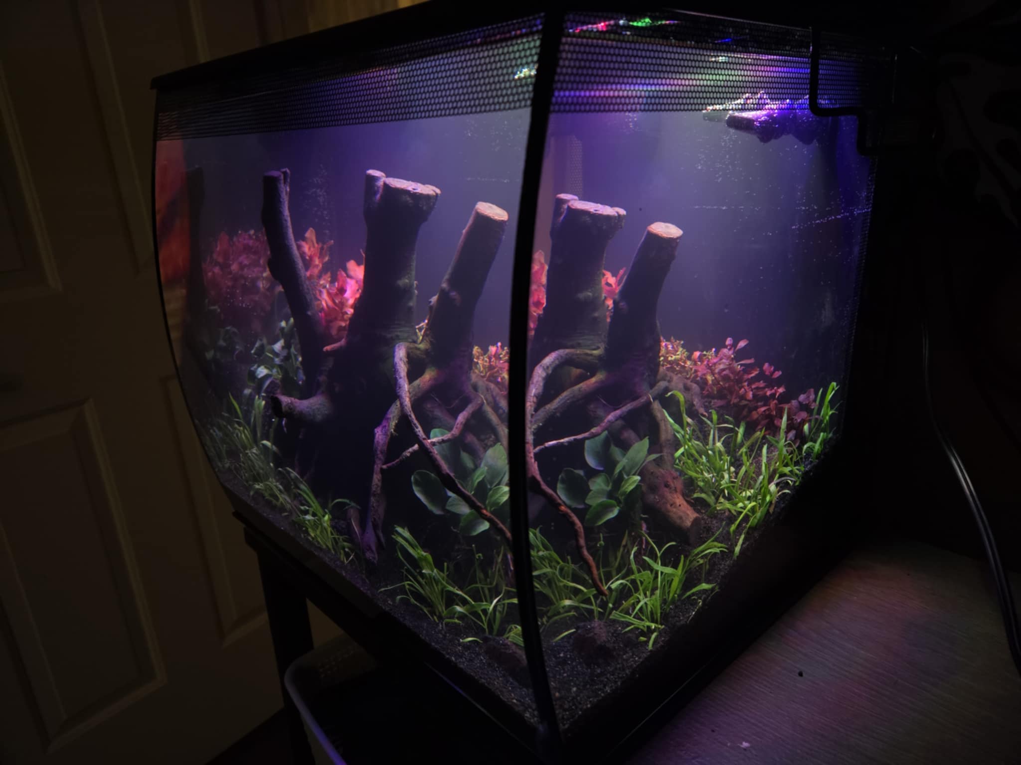 Aquatic Serenity