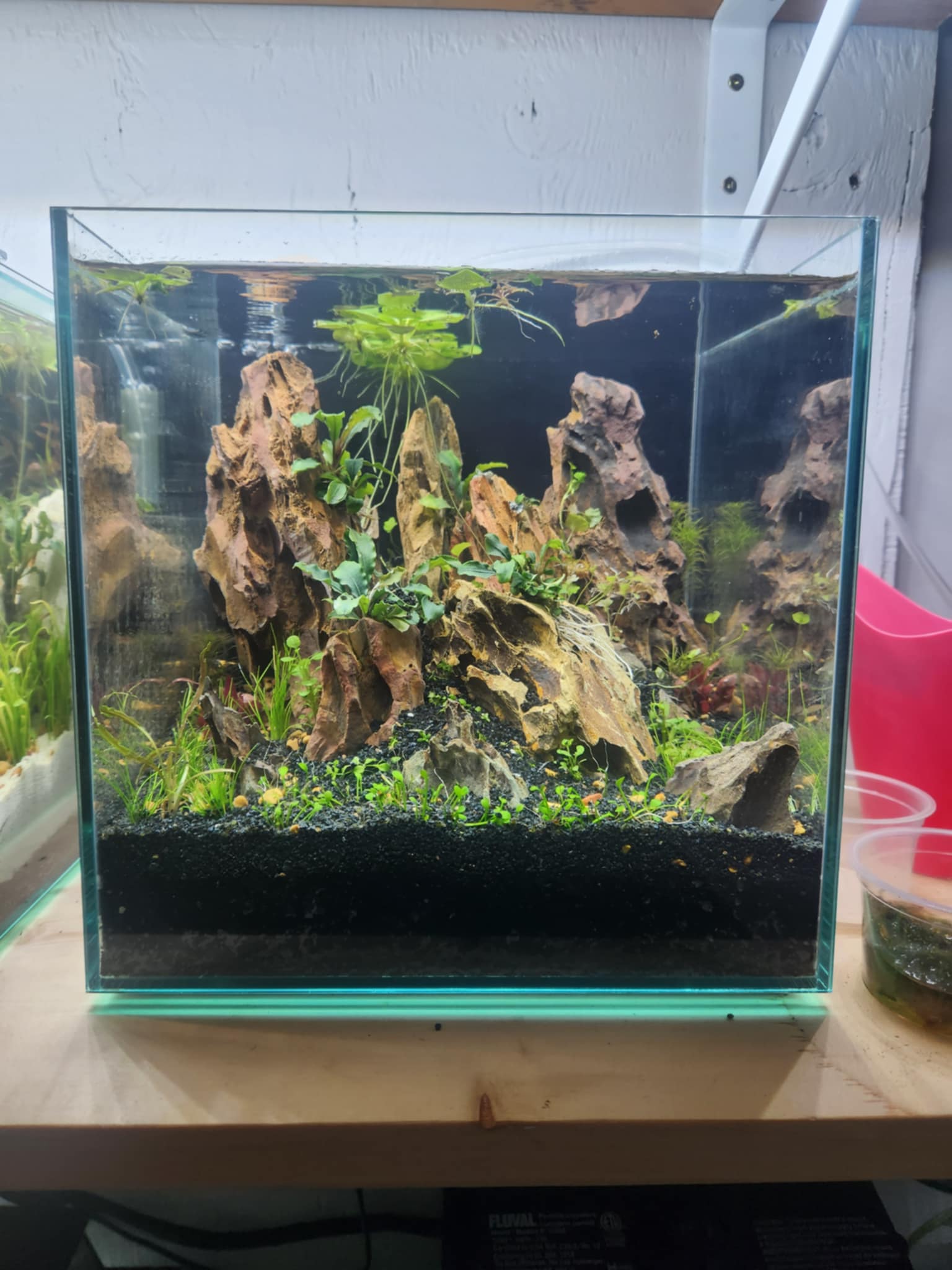 Coral Haven