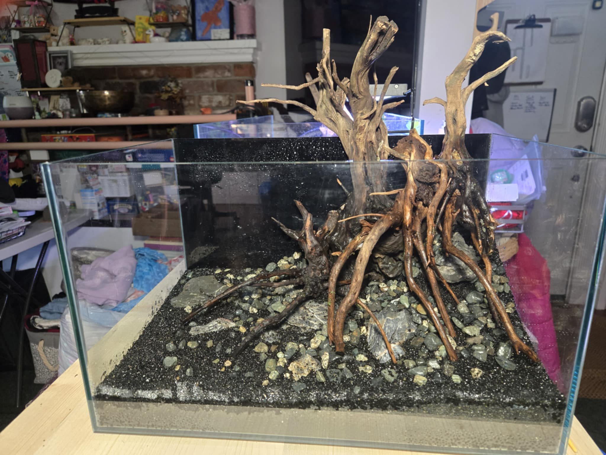 Zen Garden
