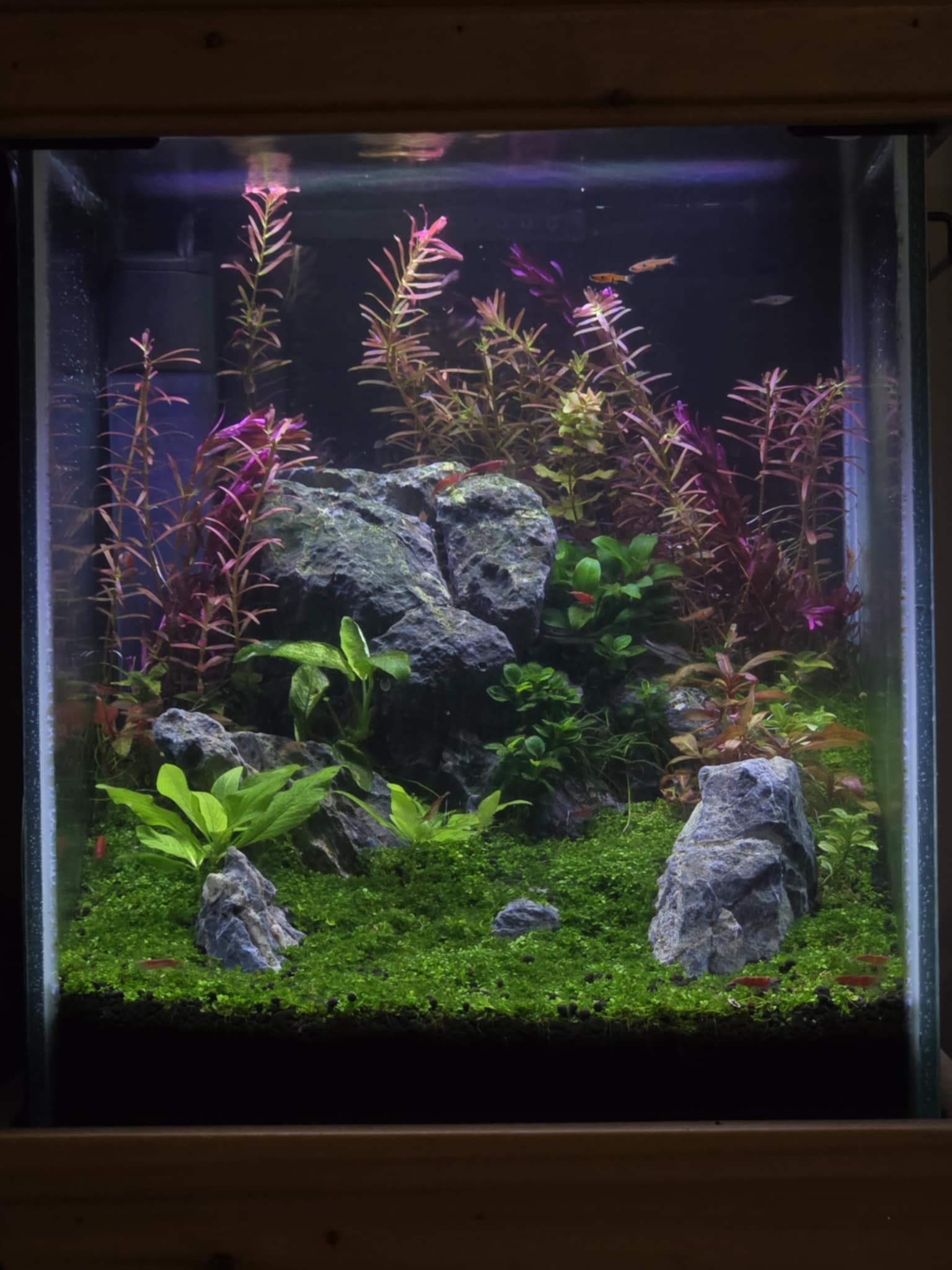 Underwater Paradise
