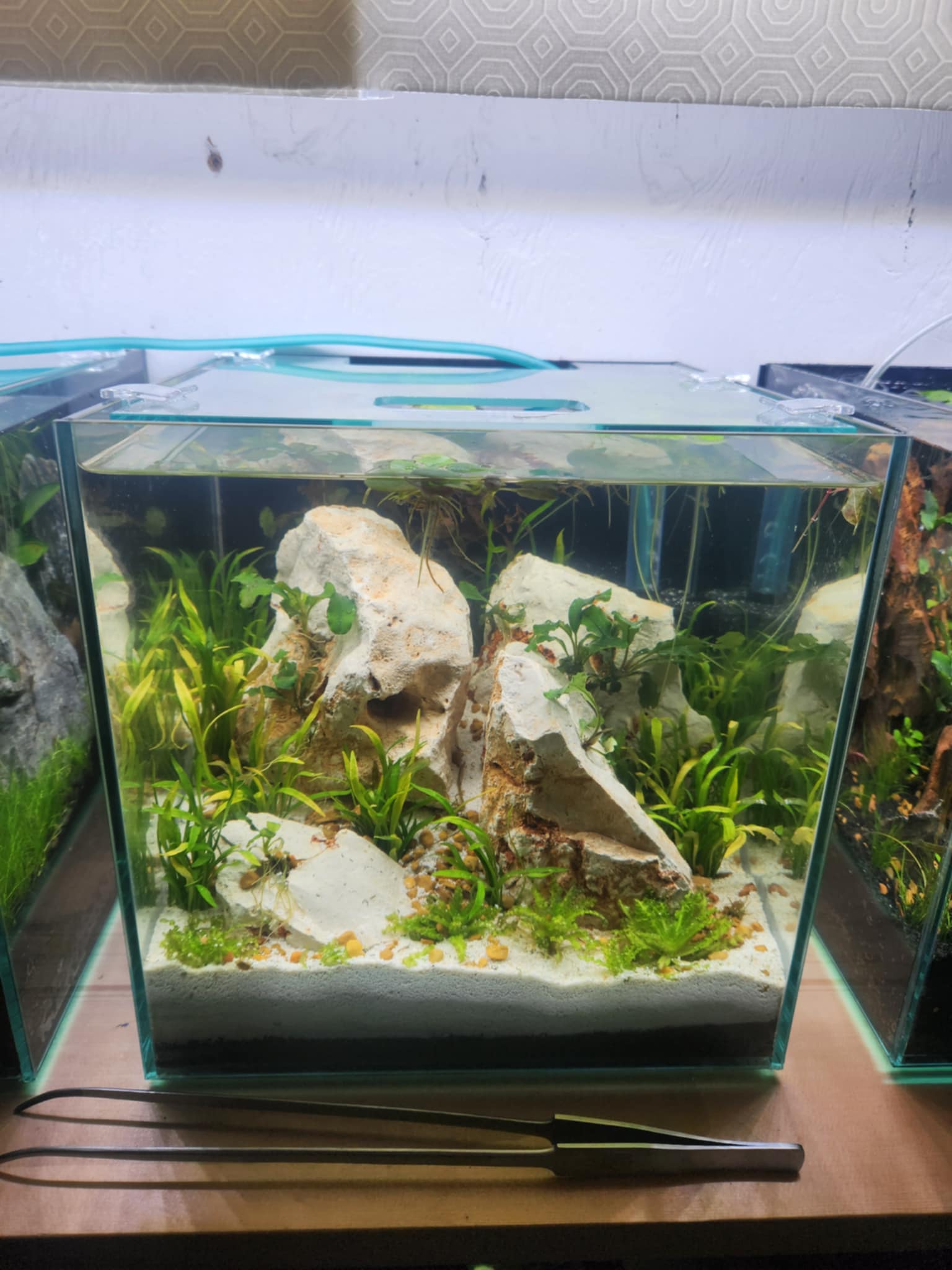 Marine Sanctuary